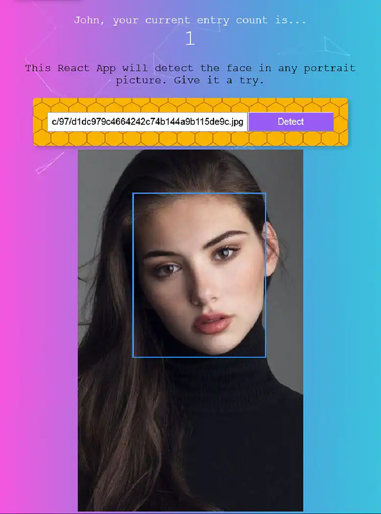 Face Detection Web App Website Image